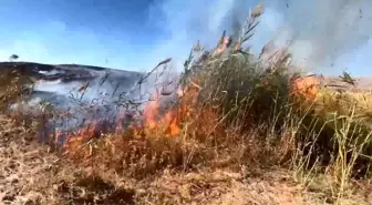 Elazığ'da Otluk Alanda Yangın Kontrol Altına Alındı
