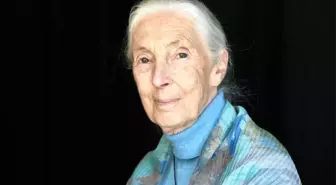 Bilim İnsanı Jane Goodall Hayatını Kaybetti