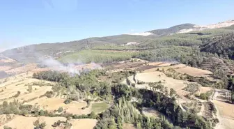 Muğla ve Aydın Sınırındaki Orman Yangını Kontrol Altına Alındı