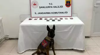 Şanlıurfa'da Uyuşturucu Operasyonu: 210 Bin TL Ele Geçirildi