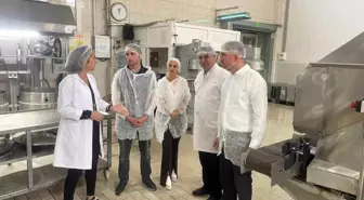 Bursa Kestane Şekerinde Dünya Standartları