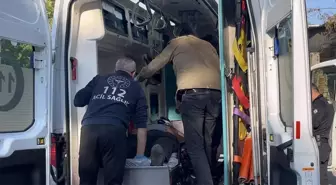 Bursa'da Kestane Toplama Tansiyonu Silahlı Çatışmaya Dönüştü