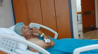Yaban Domuzu Saldırısı: Abdullah Çelik Ağır Yaralandı