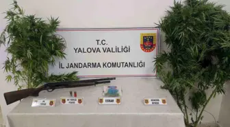 Yalova'da Uyuşturucu Operasyonu: İki Zanlı Gözaltına Alındı