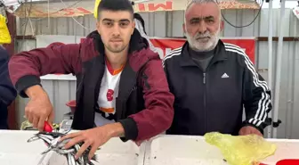 Zonguldak'ta Hamsi Fiyatları 100 Liraya Düştü