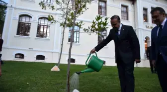 Bakan Kacır Bilecik'te Çınar Ağacını Suladı