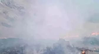 Van'da Anız Yangını Kontrol Altına Alındı