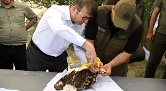 Dünya Hayvanları Koruma Günü'nde TREDAŞ'tan Anlamlı Projeler