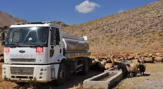 Hizan'da Kuraklık Nedeniyle Hayvanlara Su Taşınıyor