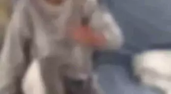 Manisa'da Kız Kardeşe Kaynar Suyla Saldırı Görüntülerine Tepki