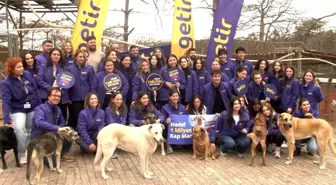 Getir, Dünya Hayvanları Koruma Günü'nde 1 Milyon Kap Mama Hedefliyor