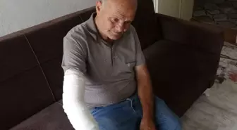 Taksici Sokak Köpeği Tarafından Isırıldı, Hayvan Sevgisinden Vazgeçmedi