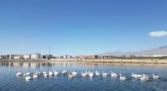 Niğde'de Kuraklık Baraj Su Seviyelerini Düşürdü