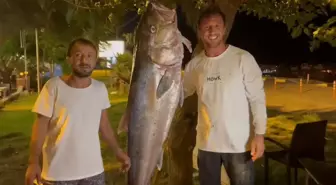 Amatör Balıkçılar 60,5 Kilogramlık Akyayı Yakaladı, Geliri Kimsesiz Çocuklara Bağışladı