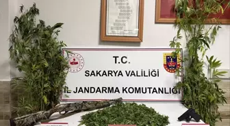 Sakarya'da Uyuşturucu Operasyonu: 1 Zanlı Tutuklandı