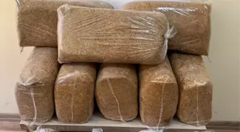 Samsun Bafra'da 60 Kilogram Kaçak Tütün Ele Geçirildi