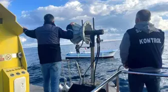 Sinop'ta Balıkçılık Denetimleri Artıyor