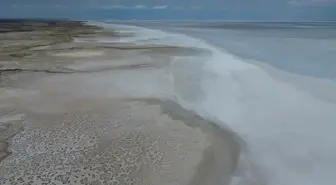 Tuz Gölü'ndeki Kuraklık Biyolojik Çeşitliliği Tehdit Ediyor