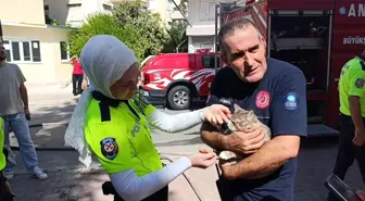 Antalya'da Dairede Yangın: Kedi Gofret Kurtarıldı