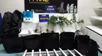 Adana'da Kenevir Yetiştiren Zanlı Tutuklandı