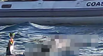 Antalya'da Dalış Maskesiyle Bulunan Erkek Cesedi Olayı