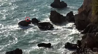 Antalya'da Dalgalar Arasında Mahsur Kalan Balıkçı Kurtarıldı