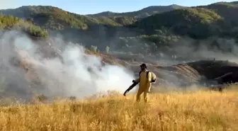 Bingöl'ün Genç İlçesinde Orman Yangını Kontrol Altına Alındı