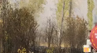 Çankırı'da Bahçelik Alanda Yangın Çıktı