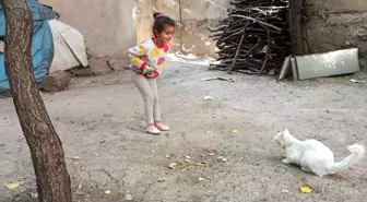 Çatak'ta Öğrenciler Sokak Hayvanlarını Unutmadı