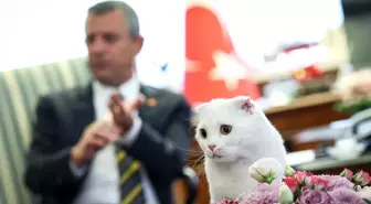 CHP Lideri Özgür Özel, Dünya Hayvanları Koruma Günü'nü Kutladı