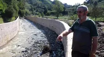 Rizeli Çay Üreticisi Dere Islahı Nedeniyle Mağdur Oldu