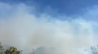 Diyarbakır'ın Dicle ilçesinde örtü yangınına müdahale sürüyor