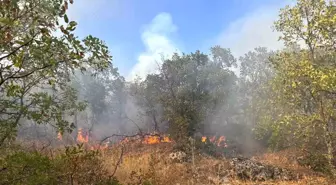 Diyarbakır'da Örtü Yangını 7 Saat Sonra Kontrol Altına Alındı