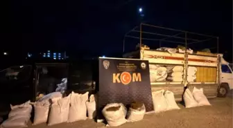 Erzurum'da Kaçak Tütün Operasyonu: 3 Ton Kıyılmış Tütün Ele Geçirildi
