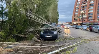 Eskişehir'de Sağanak Dalları Araça Düşürdü
