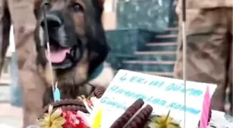 Van Jandarma'dan 4 Ekim Dünya Hayvanları Koruma Günü Etkinliği