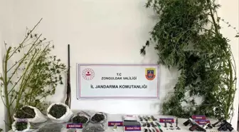 Zonguldak'ta Narkotik Operasyonu: 5 Şüpheli Yakalandı