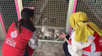 Kayseri'de Dünya Hayvanları Koruma Günü Etkinliği