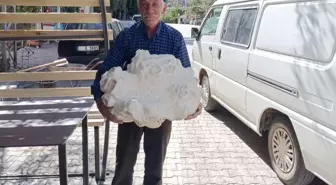 Konya'nın bir köyünde bulundu! İlk önce taş sandı, yaklaşınca donup kaldı