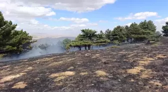 Kadınhanı'ndaki Orman Yangını Kontrol Altına Alındı
