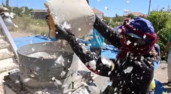Aksaray'ın Organik Sarımsağında Ekim Sezonu Başladı