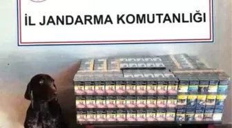 Bolu'da Yolcu Otobüsünde 430 Paket Kaçak Sigara Ele Geçirildi