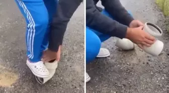 Boruya sıkışan kirpiyi böyle kurtardılar