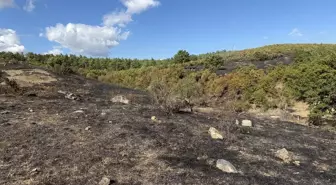 Çanakkale'de Tarım Arazisinden Ormanlık Alana Sıçrayan Yangın Kontrol Altına Alındı