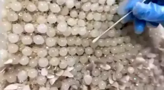 Kayseri'de Gelinlik İçine Gizlenmiş 25 Kilo Uyuşturucu Ele Geçirildi