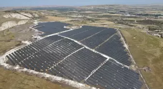 Şanlıurfa'da Çizgili Sırtlan Güvenlik Kamerasında Görüntülendi