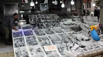 Sinop'ta Hamsi Bolluğu ve Fiyatları