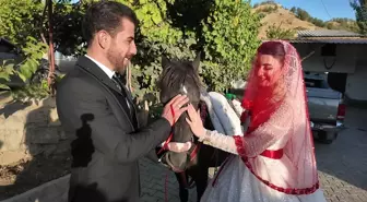 Uludere'de Geleneksel 'Atla Gelin Alma' Töreni