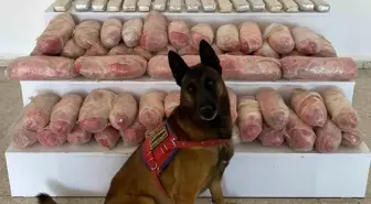 Van'ın Başkale İlçesinde 67 Kilogram Uyuşturucu Ele Geçirildi