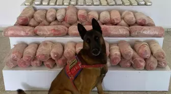 Van'da Uyuşturucu Operasyonu: 39 Kilogram Sentetik Uyuşturucu ve 28 Kilogram Esrar Ele Geçirildi